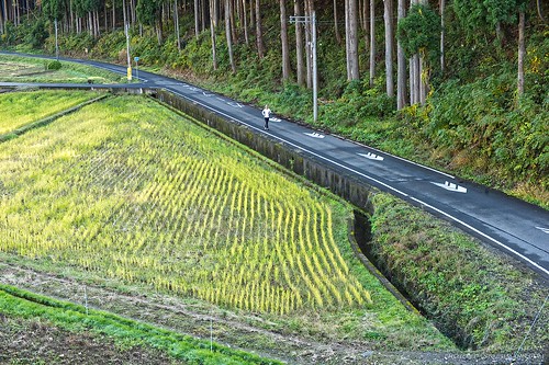 miyama japan 2018 countryside leica m10 japancountry asia homescreen landscape