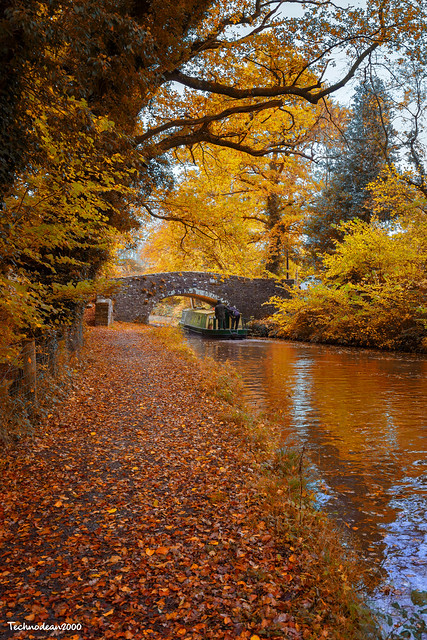 Autumn colour on the Brecon canal