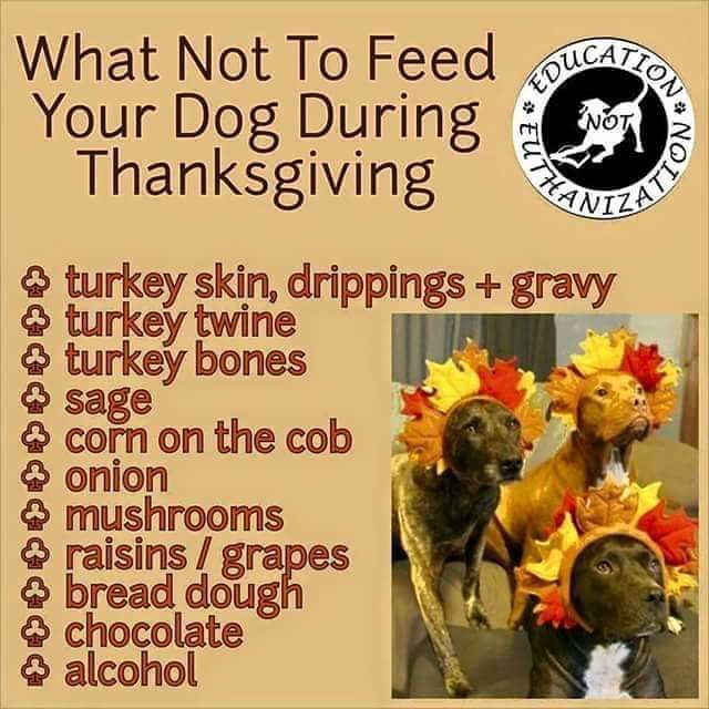 Keep the good boys safe this thanksgiving