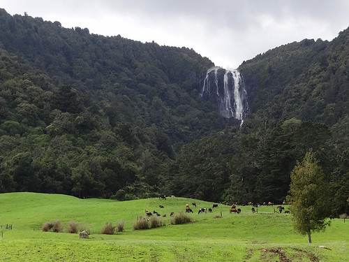 nz newzealand waikato kaimairanges wairerefalls 153m waterfall bushwalk farmland sonycybershot dschx100v pointshoot homelandsea