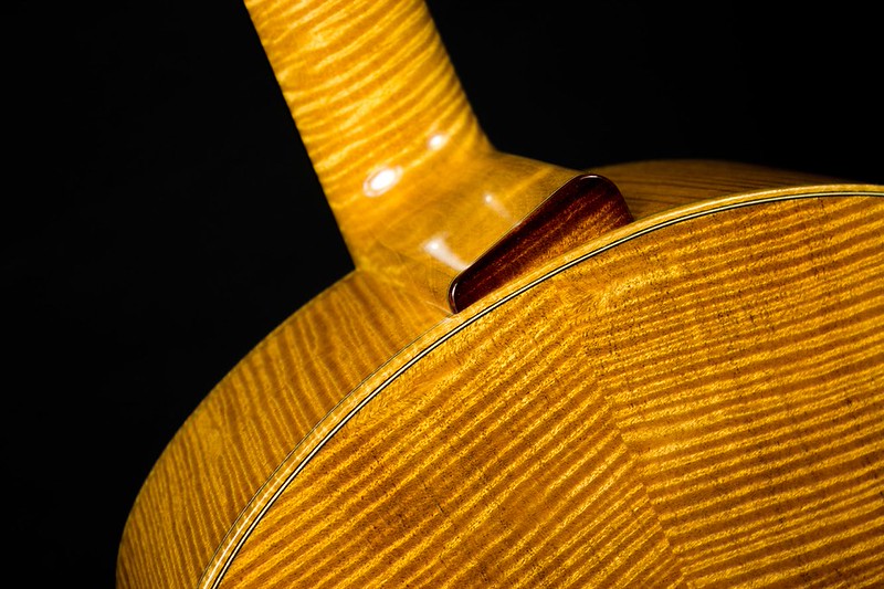 Fiddleback Tree Robbins