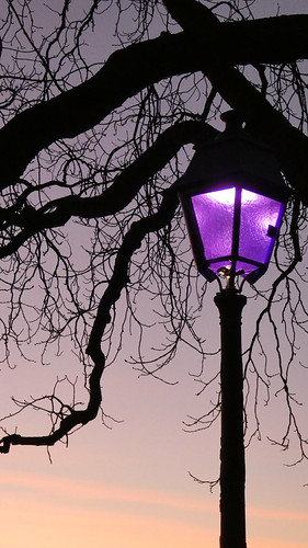 Catch the light. | by Hoptimyst