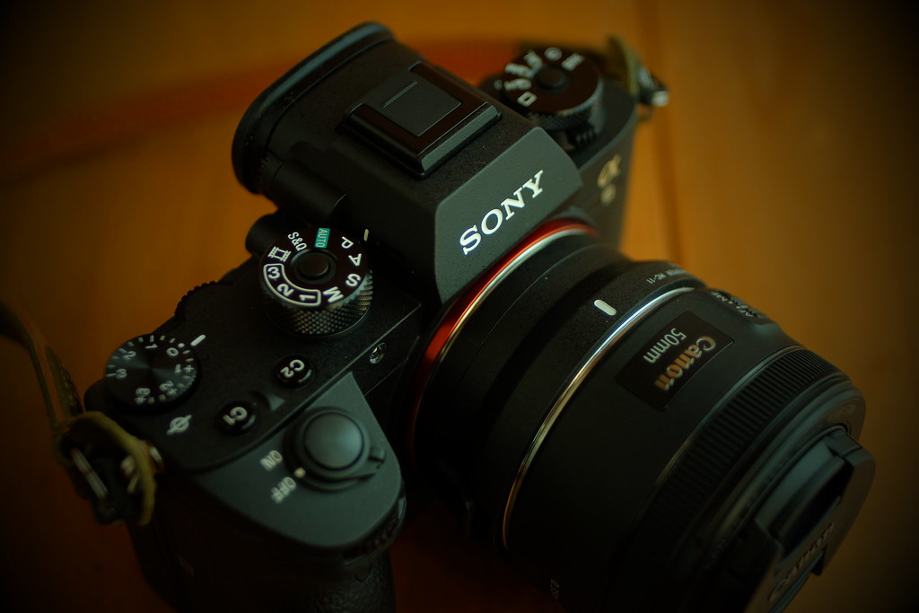 素人目線】Sony α9に、Canon EF50mm F1.8 STMを装着してみた感想