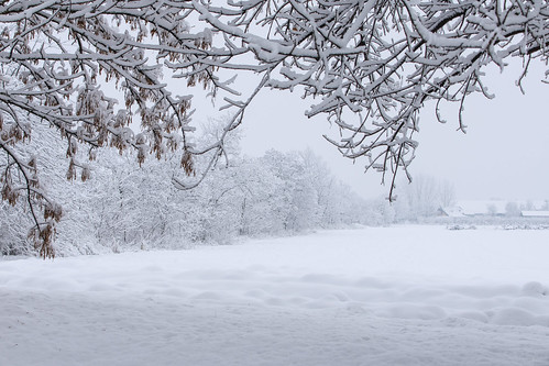 nikon d3400 tamron 18200mm winter white snow trees ngc