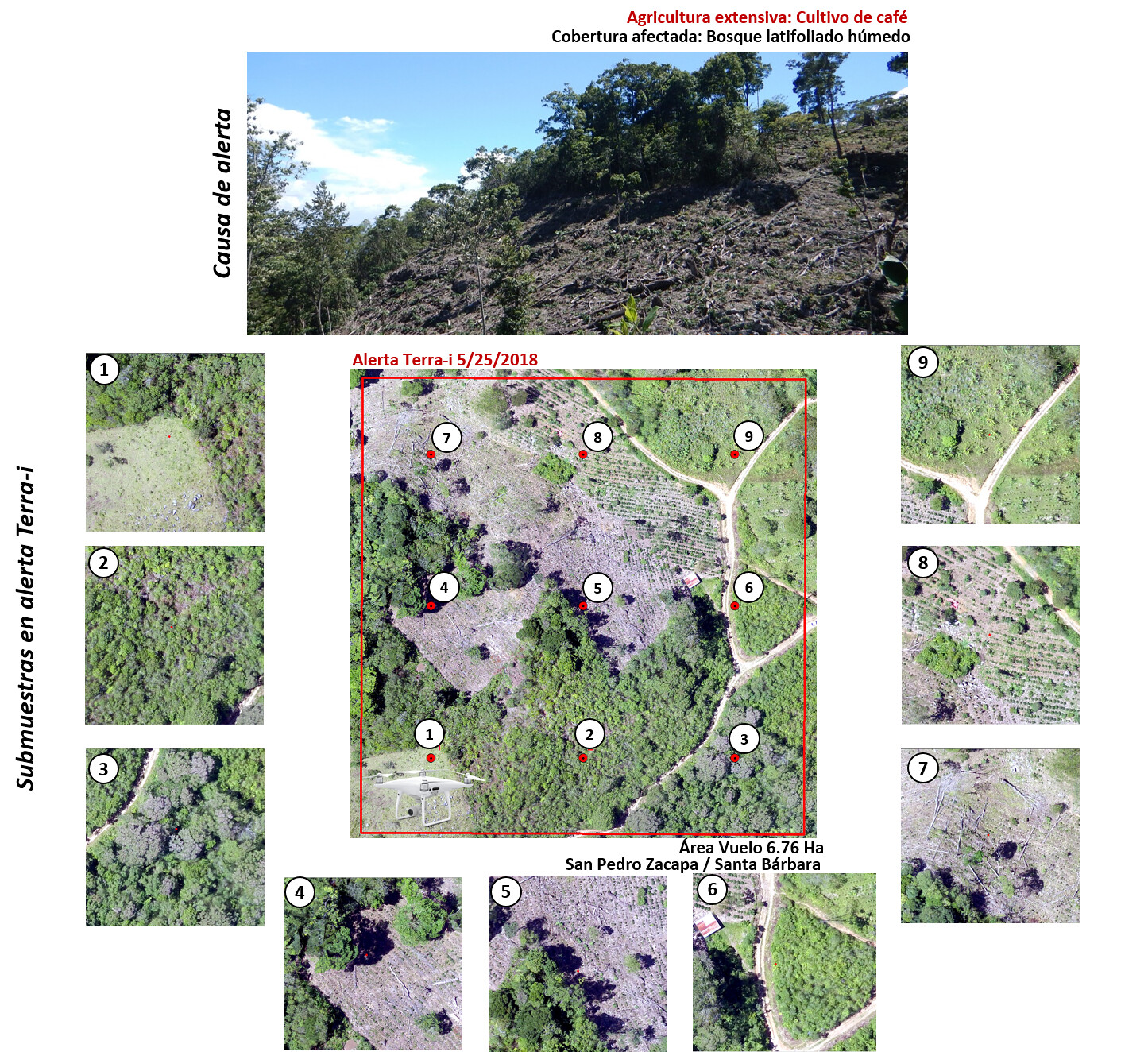Análisis de submuestras en alerta Terra-i detectada el 25 de mayo del 2018, datos recolectados en campo con drone Phantom 3 advanced, causa directa de campo: cultivo de café, cobertura afectada: bosque latifoliado húmedo.