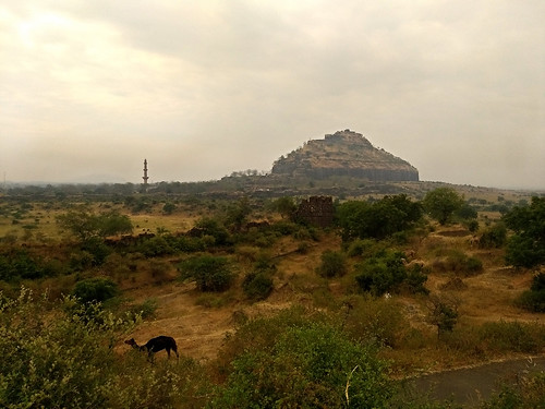 daulatabadfort mahabharatam india hill uasatish fort camel shrubs