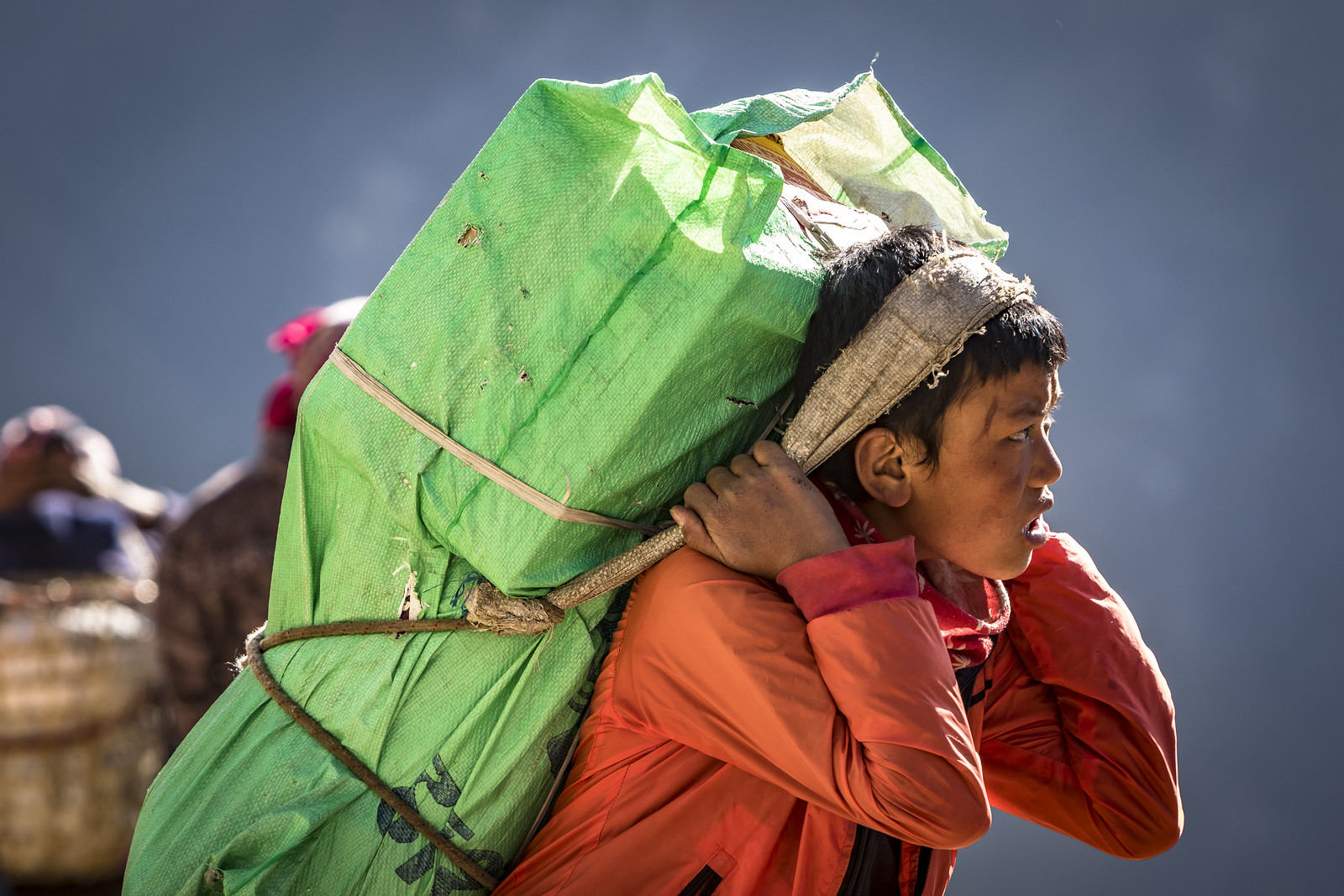 Young sherpa - Népal