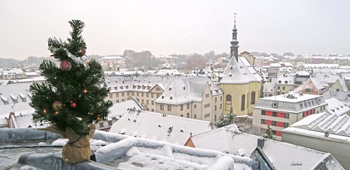 mainz schnee snow roofs christmastree weihnachtsbaum