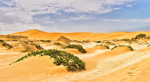 swakopmund sanddunes landscape namibia desert sand africa travel