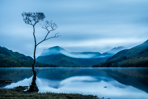 returntobuttermere buttermere dawn longexposure lake lakedistrict cumbria water reflections tree lonetree clouds haystacks countryside country uk england nikon nikond7100 d7100 danielcoyle hills mountains fells nationaltrust natural nature