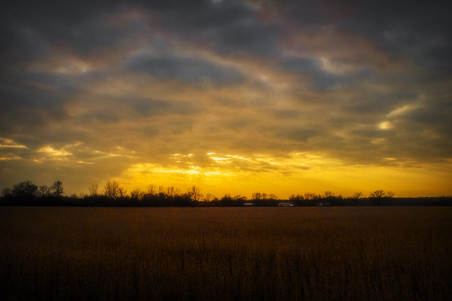 Field At Sunset. Amherstburg, ON.
