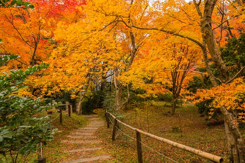 japan kaijūsenji kizugawashi kyōtofu autumn autumnphotography もみじ 木津川市 海住山寺 紅葉 kyōtoprefecture jp