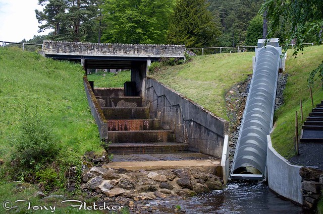 'ARCHIMEDES SCREW - 'CRAGSIDE HOUSE AND GARDENS