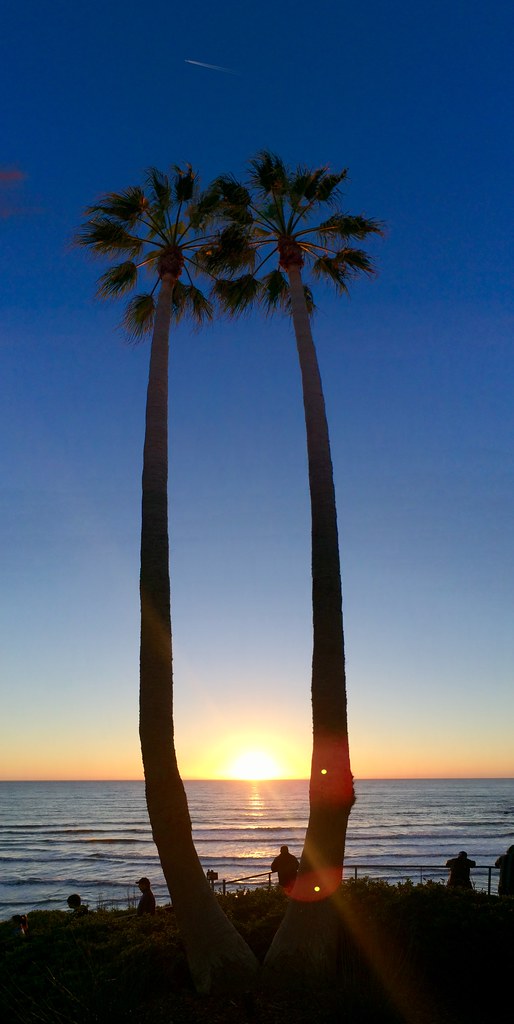 Twin Palm Sunset