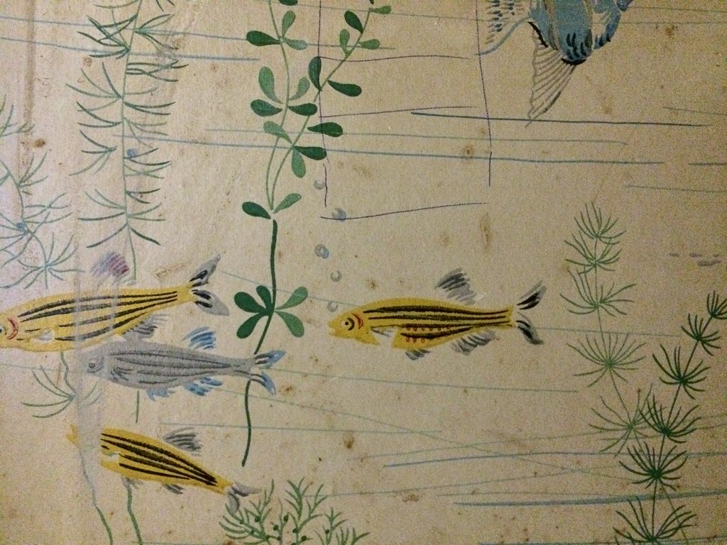 1950s vintage marine wallpaper | Cairlinn | Flickr