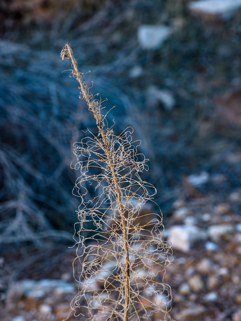 EM122181-1 | OLYMPUS DIGITAL CAMERA | Harvey Richards | Flickr