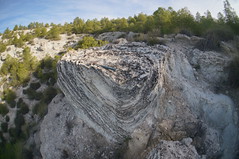 Megasismitas en depósitos lacustres - Camino de la Cañada, Galera (Granada, España) - 42