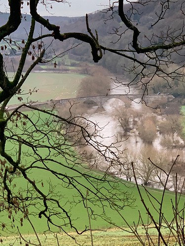 river wyesonnet wye willow