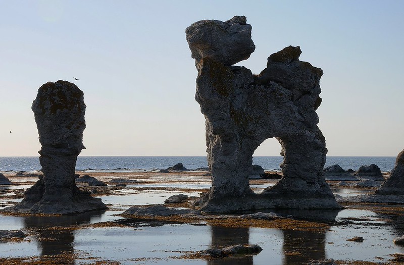 20180530-172F | Das Raukgebiet Gamla Hamn auf Fårö mit dem berühmten Raukfelsen, der wahlweise als 'Hunden' (Hund), 'Kaffepannan' (Kaffeekanne) oder 'S:t Olavs porten' (St.-Olavs-Tor) bezeichnet wird. Gotland/Schweden, 30.05.2018