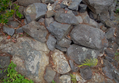 Basalt and rhyolite, Little Millstream Falls, near Ravenshoe, QLD, 03/11/18 | by Russell Cumming