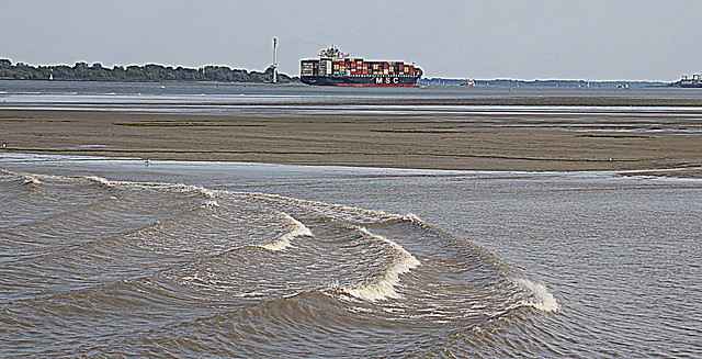 MSC on river Elbe