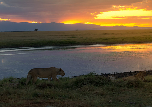 African Sunset, Amboseli National Park by . Ray in Manila, PUBLISHED:
<a href="https://ourwholevillage.com/travel-with-tweens-8-places-to-visit-by-age-13/" re