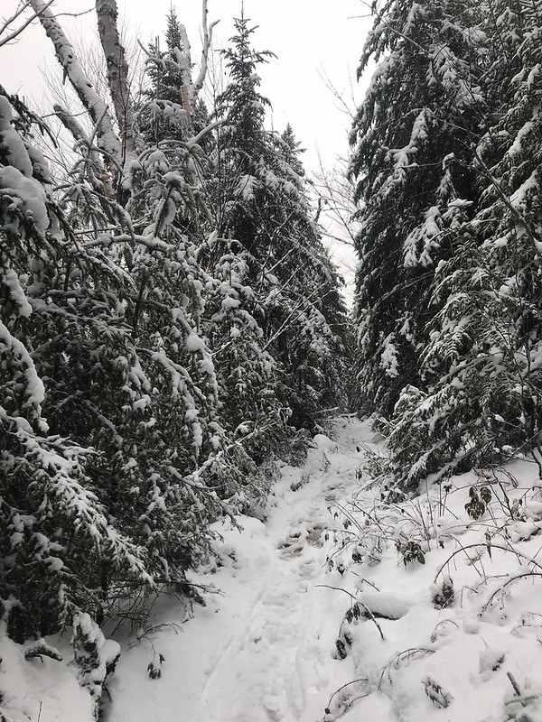 Mini Mt Marcy: Is this the trail?