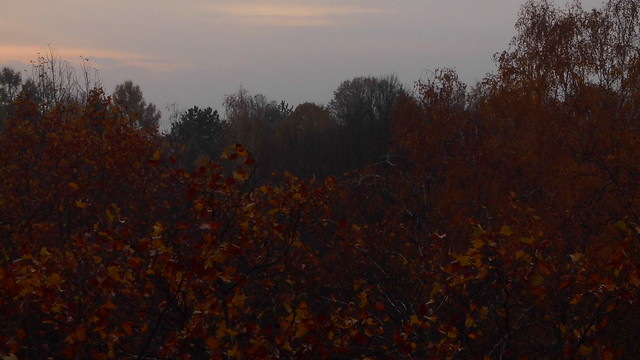 goot morning november day