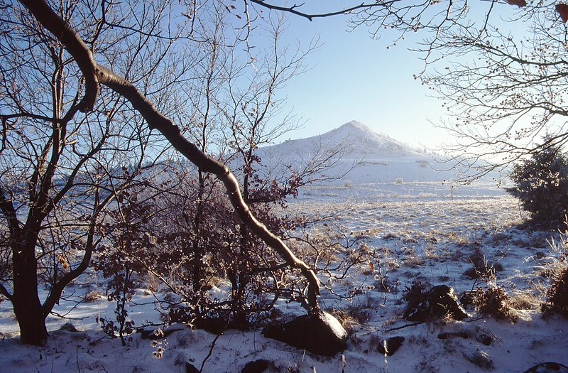 rhn00217F | Winter an der Abtsrodaer Kuppe. Rhön, 15.12.1995