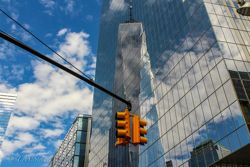 Reflection | by TMStorari