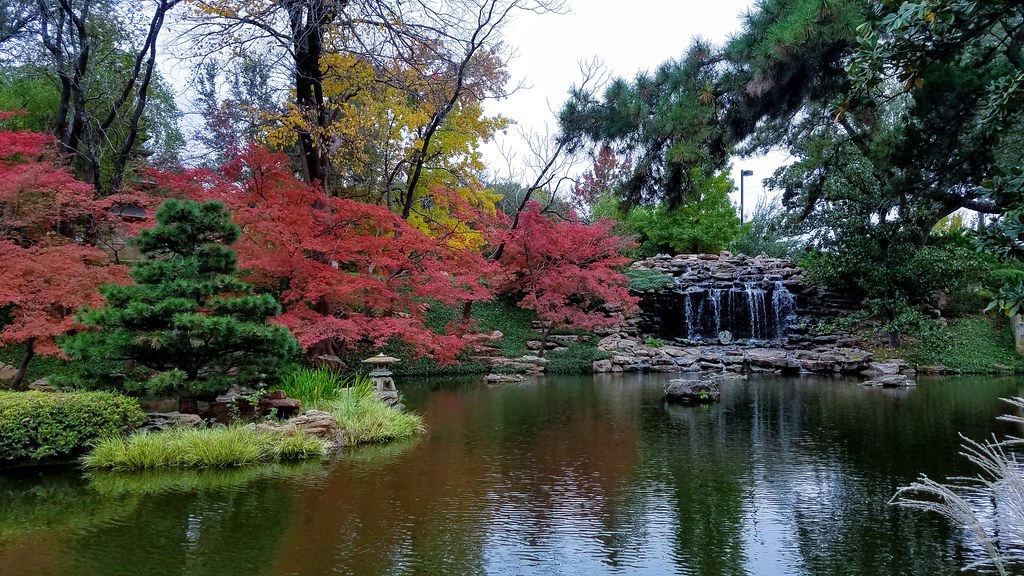 Japanese Garden At Fort Worth Botanical Gardens Fall Color Flickr