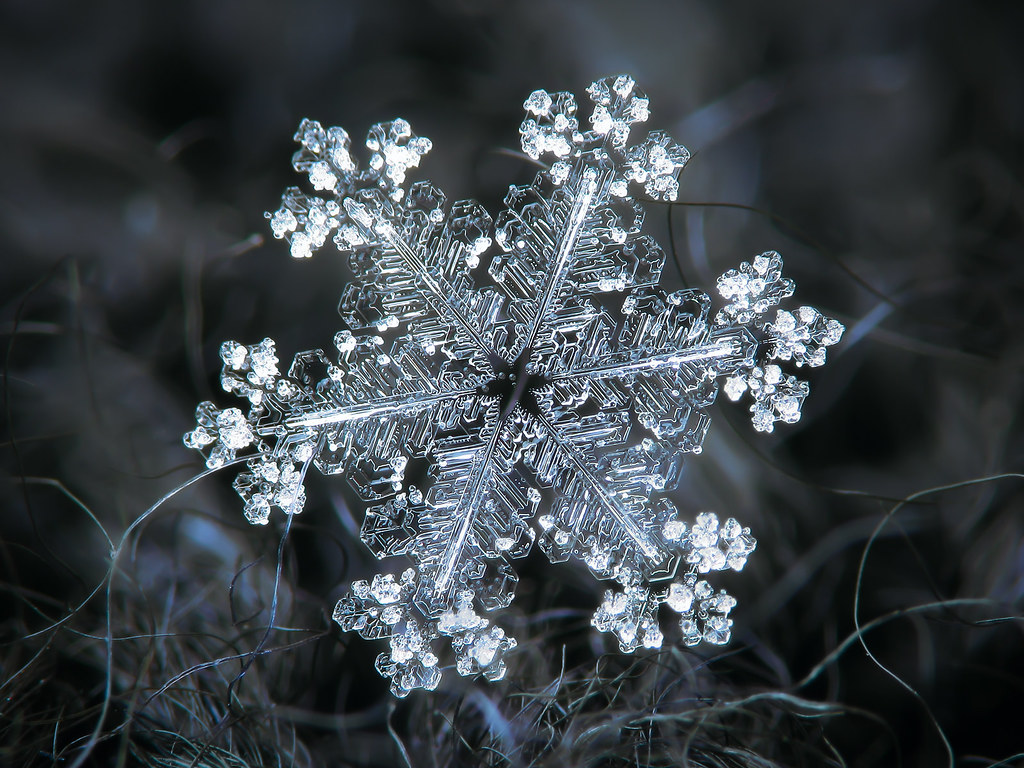 Real snowflake | Real snowflake macro photo. Ideas for home … | Flickr