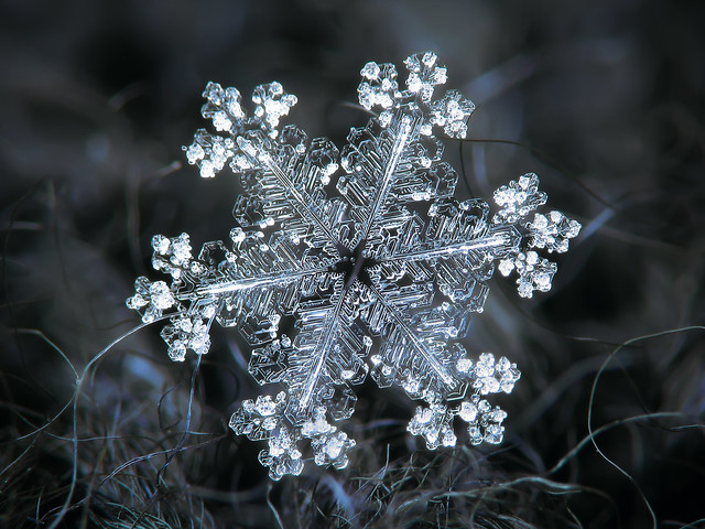 Real snowflake