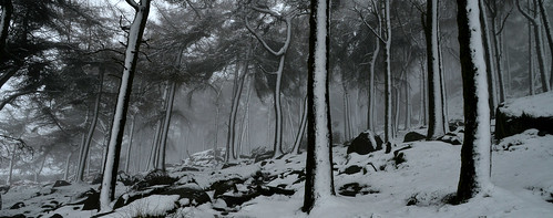 theroaches snow mist fog staffordshire peakdistrict