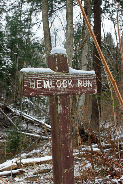 Hemlock Run (1)