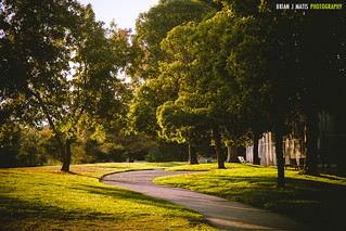 park at golden hour [Day 3592]