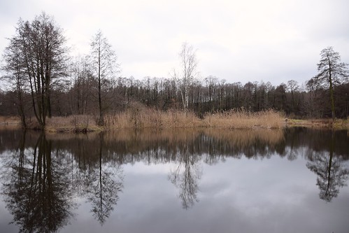 talar łódzkie lodzkie polska poland nature landscape view tree trees pond water reflections reed plants