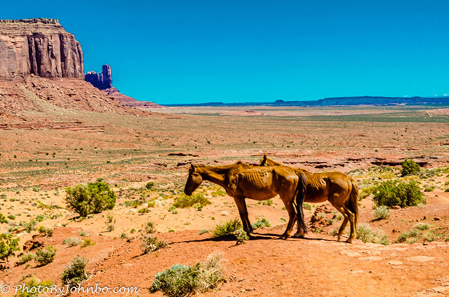 Monument Valley-4