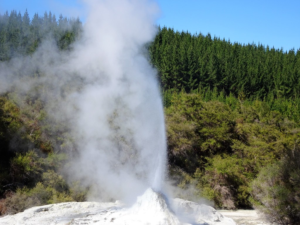 knox geyser in rotorua