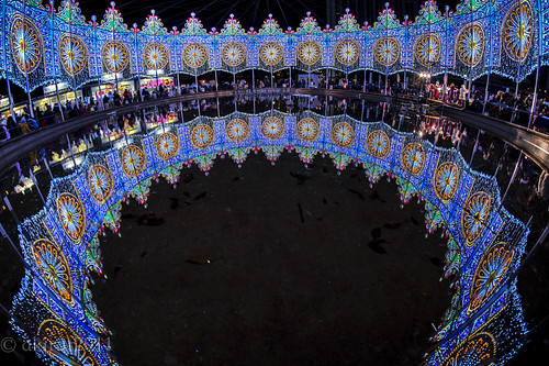 December Night Reflection