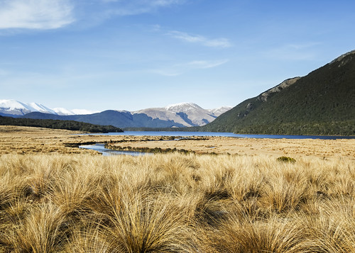 lisaridings fantommst mavora lake conservation park southland nz newzealand landscape mountain tussock mavoralakes