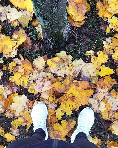 Autumn 🍂 beauty .. .. .. . #personaltrainer #dashable #da… | Flickr