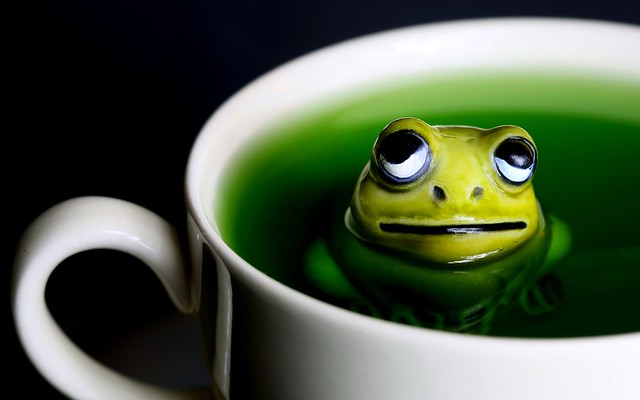 green tea dipper