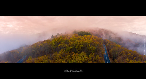 paysage arbre forêt beaujolais drone vueaerienne winter hiver brume nuage forest fusina dominikfusina landscape autumn automne cloud road route