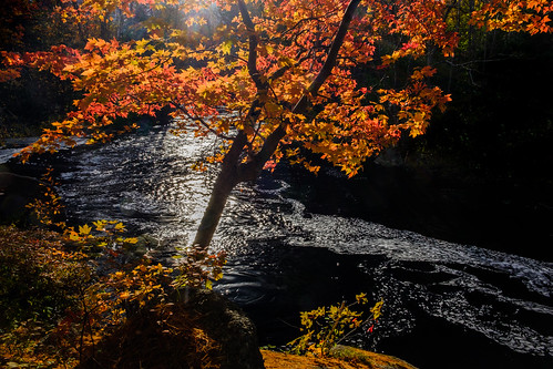 fujixe3 mickeyhill novascotia canada cans2s 2018 fall light leaves colour color backlit backlight sun morning river water flow flowing