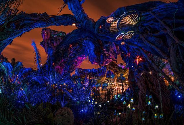 A lot of my photos from Pandora look like wild stuff from ‘Annihilation’ and I’m fine with that.