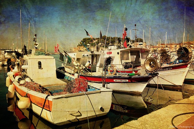 Fishing boats in the harbor...