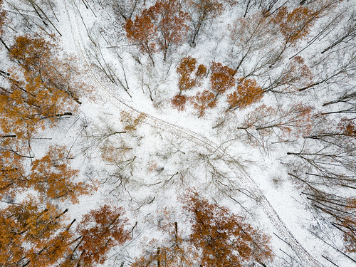 dji djimavicpro kalamazoocounty michigan portage us unitedstates aerialphotography drone fall flying fog landscape nature outdoor overcast park snow weather winter