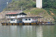 Yangtze River Cruise Excursion Up Shennong Stream
