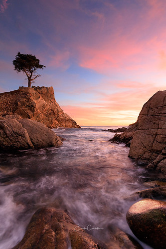 sunset seascape tree nature waves clouds